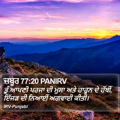 ਜ਼ਬੂਰ 77:20 PANIRV Bible Verse Image
