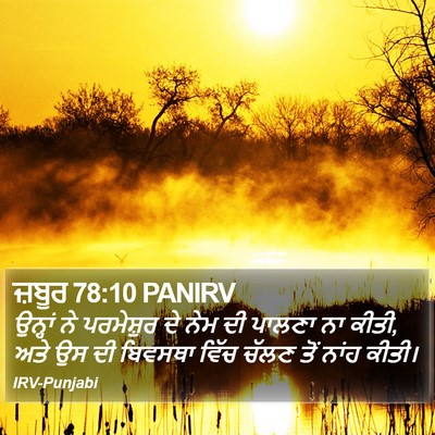 ਜ਼ਬੂਰ 78:10 PANIRV Bible Verse Image