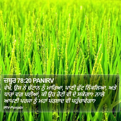 ਜ਼ਬੂਰ 78:20 PANIRV Bible Verse Image