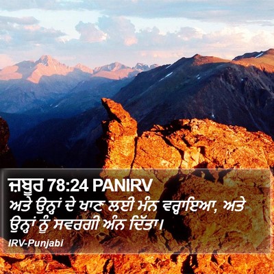 ਜ਼ਬੂਰ 78:24 PANIRV Bible Verse Image