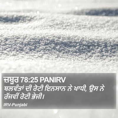 ਜ਼ਬੂਰ 78:25 PANIRV Bible Verse Image