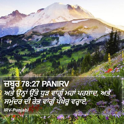 ਜ਼ਬੂਰ 78:27 PANIRV Bible Verse Image