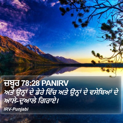 ਜ਼ਬੂਰ 78:28 PANIRV Bible Verse Image