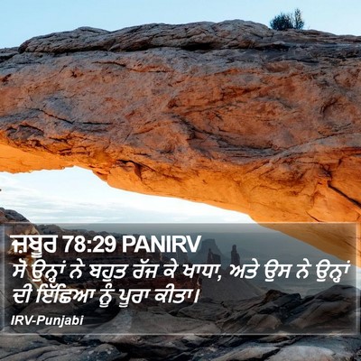 ਜ਼ਬੂਰ 78:29 PANIRV Bible Verse Image