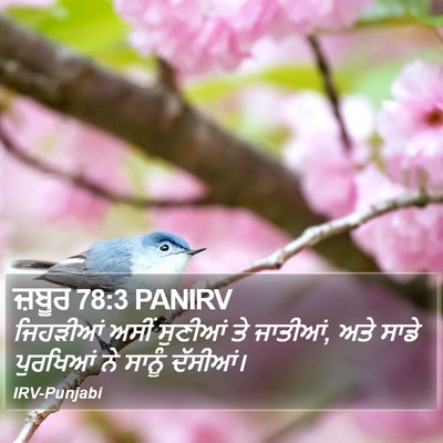 ਜ਼ਬੂਰ 78:3 PANIRV Bible Verse Image
