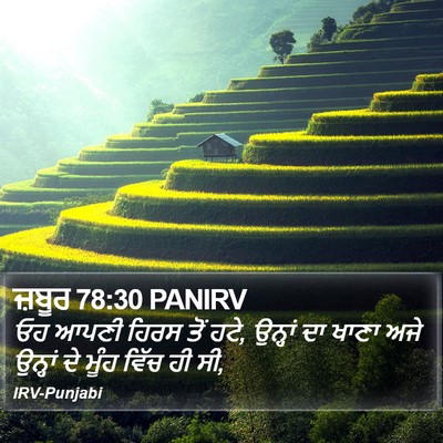 ਜ਼ਬੂਰ 78:30 PANIRV Bible Verse Image