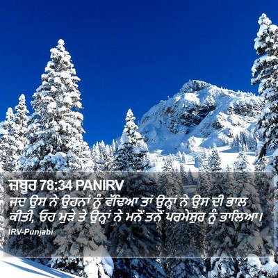 ਜ਼ਬੂਰ 78:34 PANIRV Bible Verse Image