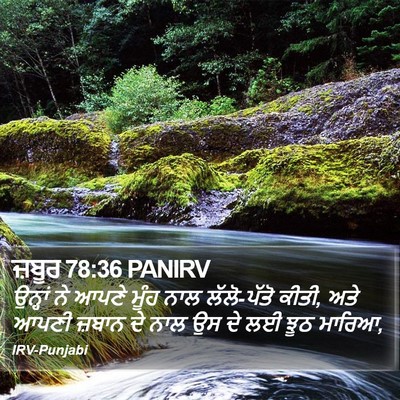 ਜ਼ਬੂਰ 78:36 PANIRV Bible Verse Image