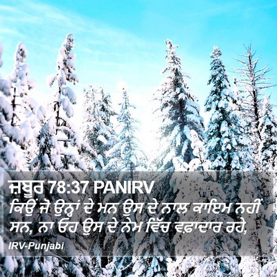 ਜ਼ਬੂਰ 78:37 PANIRV Bible Verse Image