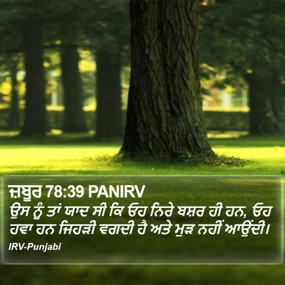 ਜ਼ਬੂਰ 78:39 PANIRV Bible Verse Image