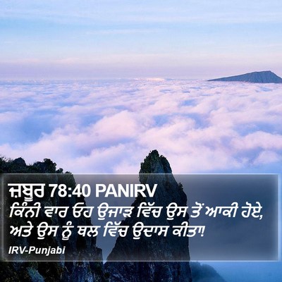 ਜ਼ਬੂਰ 78:40 PANIRV Bible Verse Image