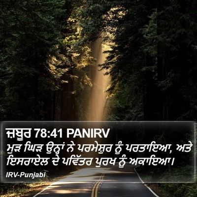 ਜ਼ਬੂਰ 78:41 PANIRV Bible Verse Image