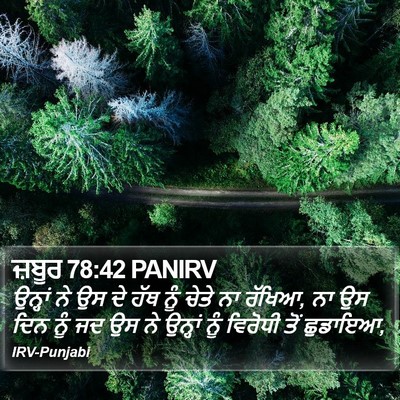 ਜ਼ਬੂਰ 78:42 PANIRV Bible Verse Image