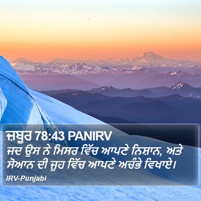ਜ਼ਬੂਰ 78:43 PANIRV Bible Verse Image