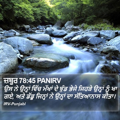 ਜ਼ਬੂਰ 78:45 PANIRV Bible Verse Image
