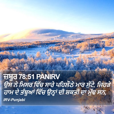 ਜ਼ਬੂਰ 78:51 PANIRV Bible Verse Image