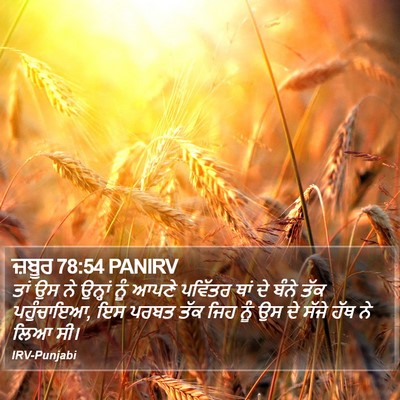 ਜ਼ਬੂਰ 78:54 PANIRV Bible Verse Image