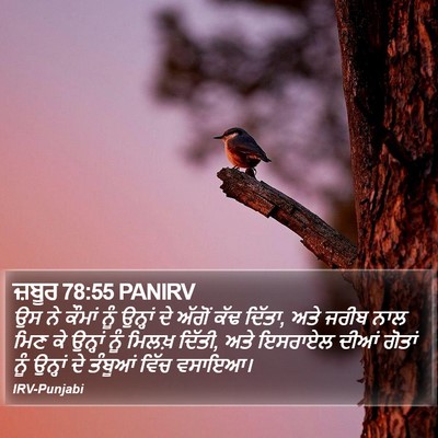 ਜ਼ਬੂਰ 78:55 PANIRV Bible Verse Image