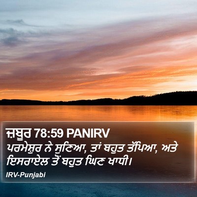 ਜ਼ਬੂਰ 78:59 PANIRV Bible Verse Image