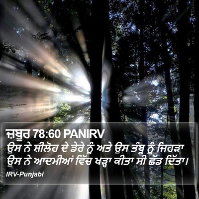 ਜ਼ਬੂਰ 78:60 PANIRV Bible Verse Image