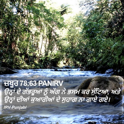 ਜ਼ਬੂਰ 78:63 PANIRV Bible Verse Image