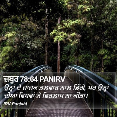 ਜ਼ਬੂਰ 78:64 PANIRV Bible Verse Image