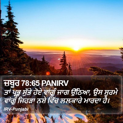 ਜ਼ਬੂਰ 78:65 PANIRV Bible Verse Image