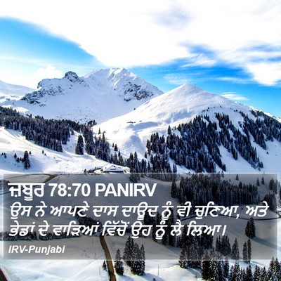 ਜ਼ਬੂਰ 78:70 PANIRV Bible Verse Image
