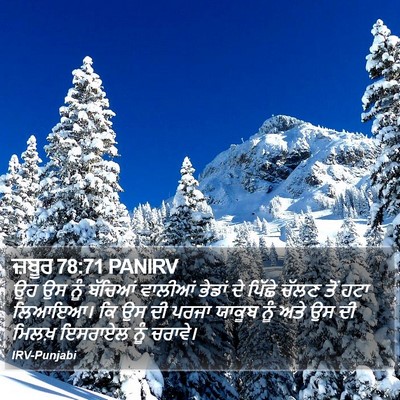 ਜ਼ਬੂਰ 78:71 PANIRV Bible Verse Image