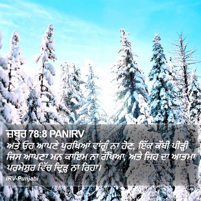 ਜ਼ਬੂਰ 78:8 PANIRV Bible Verse Image