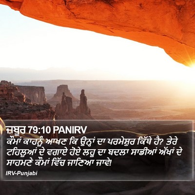 ਜ਼ਬੂਰ 79:10 PANIRV Bible Verse Image