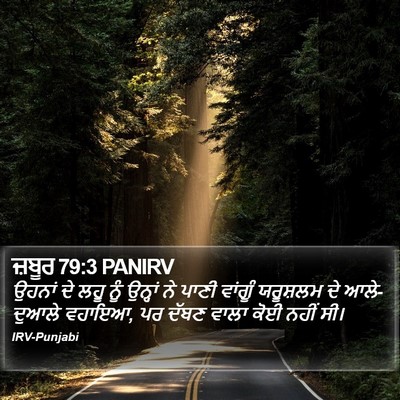 ਜ਼ਬੂਰ 79:3 PANIRV Bible Verse Image