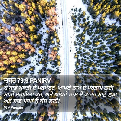 ਜ਼ਬੂਰ 79:9 PANIRV Bible Verse Image