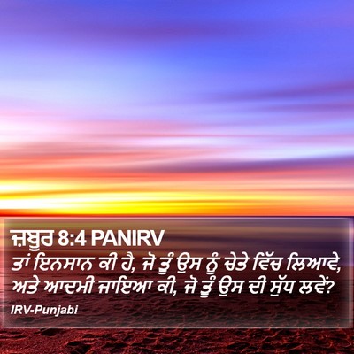 ਜ਼ਬੂਰ 8:4 PANIRV Bible Verse Image
