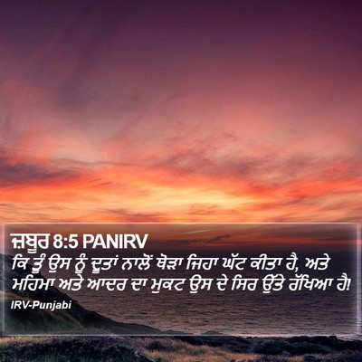ਜ਼ਬੂਰ 8:5 PANIRV Bible Verse Image