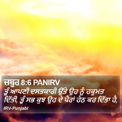 ਜ਼ਬੂਰ 8:6 PANIRV Bible Verse Image