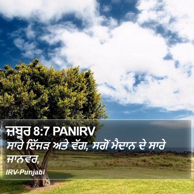 ਜ਼ਬੂਰ 8:7 PANIRV Bible Verse Image