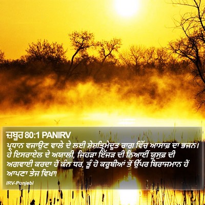 ਜ਼ਬੂਰ 80:1 PANIRV Bible Verse Image