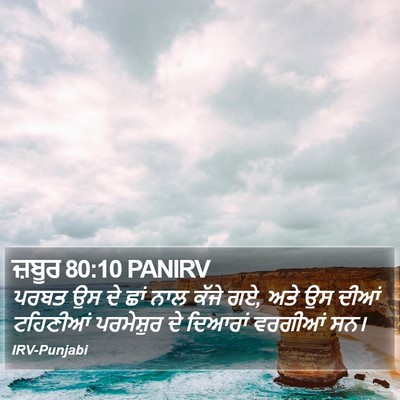 ਜ਼ਬੂਰ 80:10 PANIRV Bible Verse Image