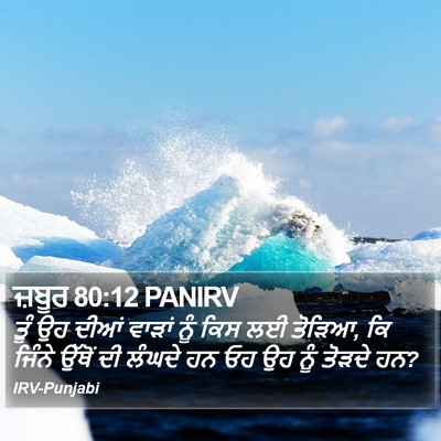 ਜ਼ਬੂਰ 80:12 PANIRV Bible Verse Image