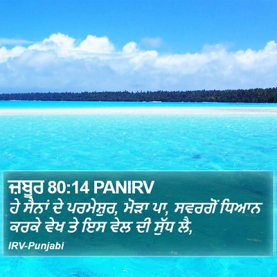 ਜ਼ਬੂਰ 80:14 PANIRV Bible Verse Image