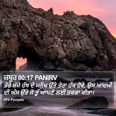ਜ਼ਬੂਰ 80:17 PANIRV Bible Verse Image