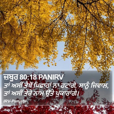 ਜ਼ਬੂਰ 80:18 PANIRV Bible Verse Image
