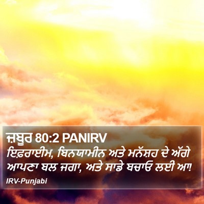ਜ਼ਬੂਰ 80:2 PANIRV Bible Verse Image