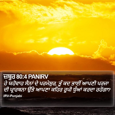 ਜ਼ਬੂਰ 80:4 PANIRV Bible Verse Image
