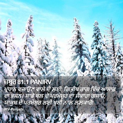 ਜ਼ਬੂਰ 81:1 PANIRV Bible Verse Image