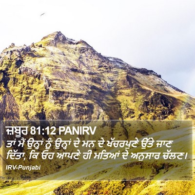 ਜ਼ਬੂਰ 81:12 PANIRV Bible Verse Image