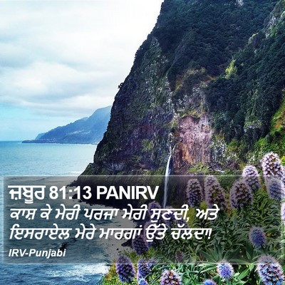 ਜ਼ਬੂਰ 81:13 PANIRV Bible Verse Image