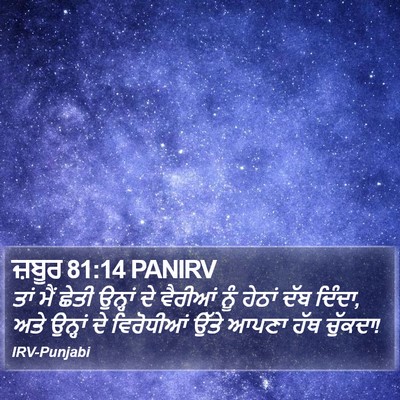 ਜ਼ਬੂਰ 81:14 PANIRV Bible Verse Image
