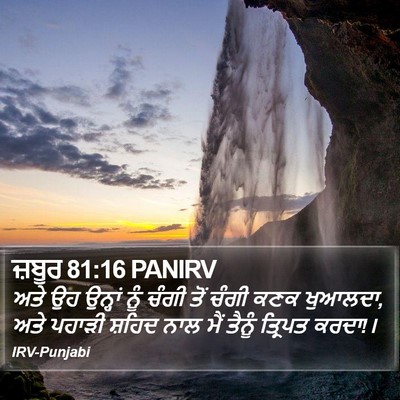 ਜ਼ਬੂਰ 81:16 PANIRV Bible Verse Image